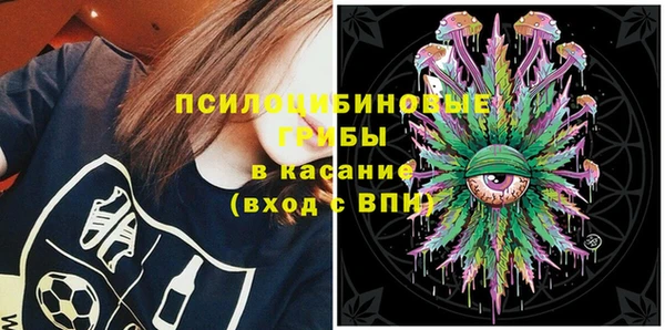 дурь Алзамай