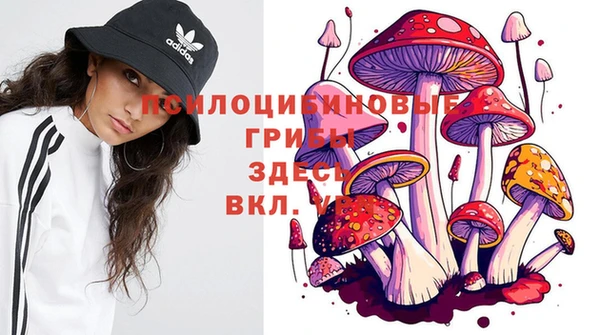 соль курить ск Армянск