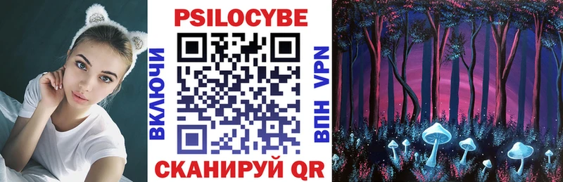Галлюциногенные грибы Psilocybine cubensis Новомосковск