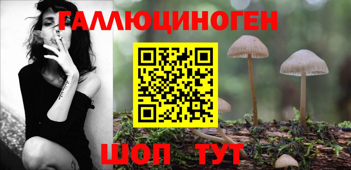 Новомосковск  что такое наркотик  Псилоцибиновые грибы Magic Shrooms  Вход с VPN  Псилоцибиновые грибы Cubensis 