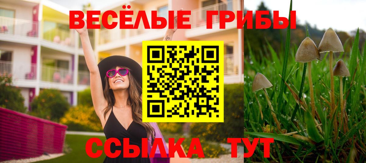 Псилоцибиновые грибы Cubensis Новомосковск